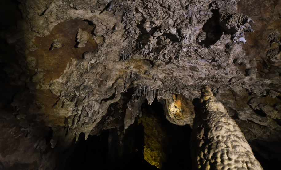 Unidades de Conservação do Paraná administrada pelo Instituto Água e Terra (IAT) receberão 4,72% mais visitantes no primeiro trimestre de 2025 em relação ao mesmo período do ano passado.