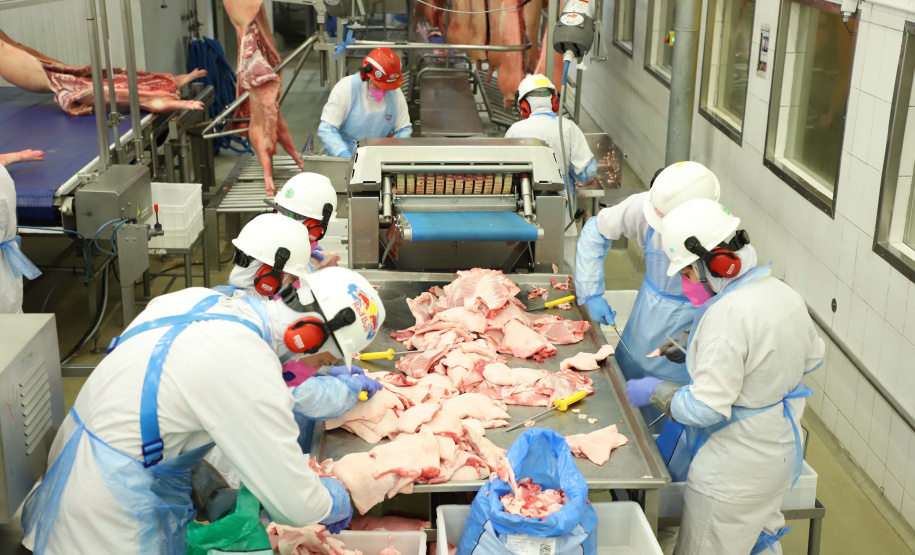 SEAB - Ao reconhecer Estado como zona livre de febre aftosa, Chile passará a importar carne suína paranaense