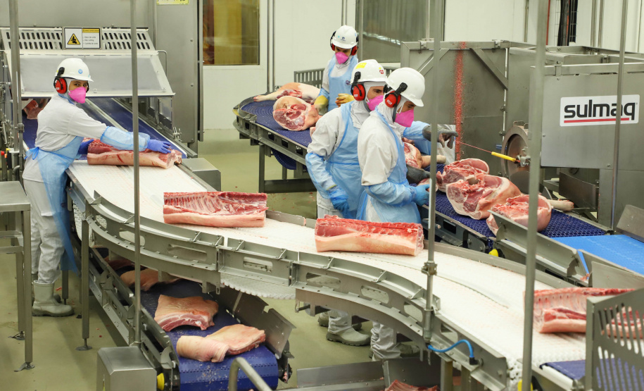 BOLETIM AGROPECUÁRIO CARNE SUÍNA