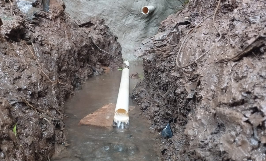 SEED COLÉGIO AGRÍCOLA RECUPERA 260 NASCENTES