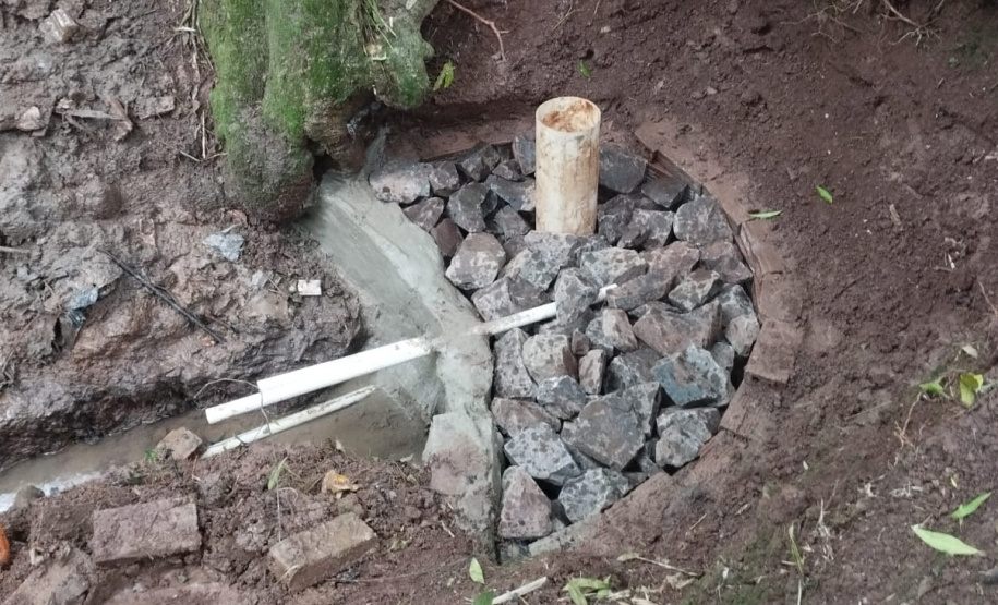 SEED COLÉGIO AGRÍCOLA RECUPERA 260 NASCENTES