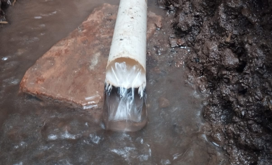 SEED COLÉGIO AGRÍCOLA RECUPERA 260 NASCENTES