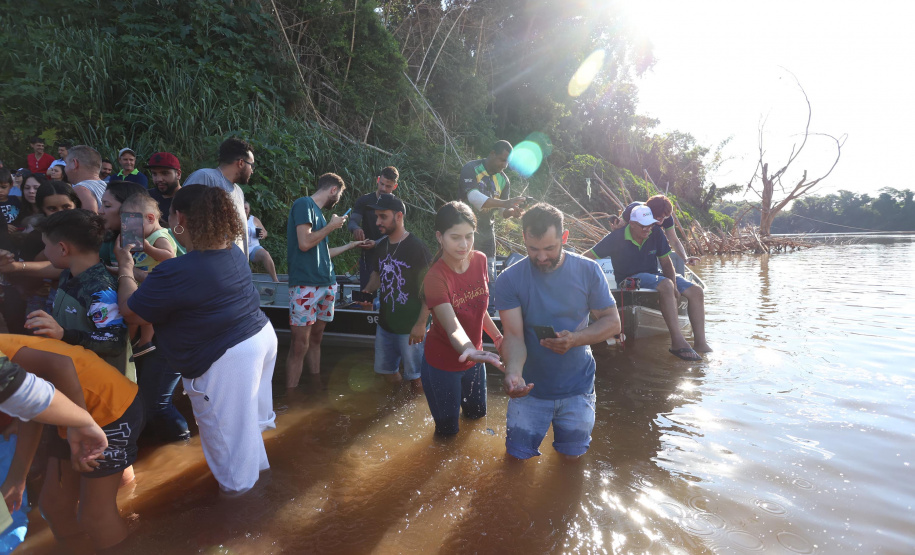 Ação do Rio Vivo em Japurá: 150 mil peixes nativos soltos no Rio Ivaí