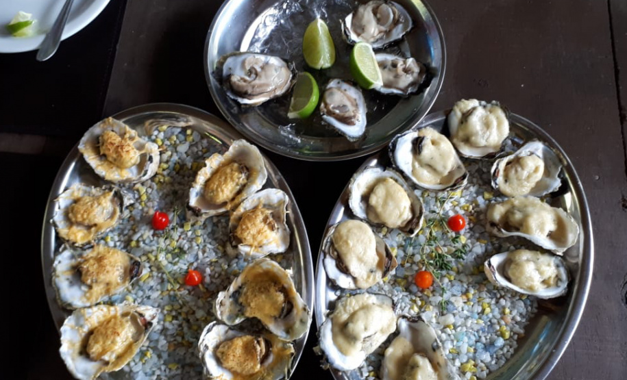 Comercialização de ostras e mexilhões está liberada em Guaratuba