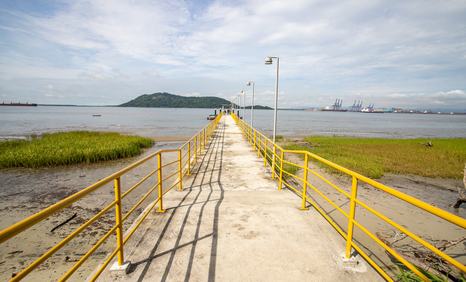 Portos do Paraná realiza oficina de coleta e despolpa do açaí juçara em comunidade no Litoral