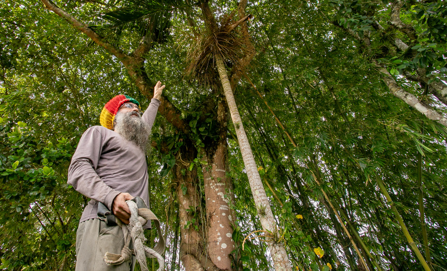 Portos do Paraná realiza oficina de coleta e despolpa do açaí juçara em comunidade no Litoral