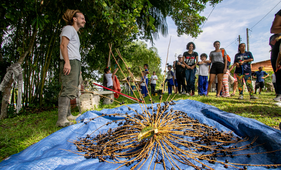 Portos do Paraná realiza oficina de coleta e despolpa do açaí juçara em comunidade no Litoral