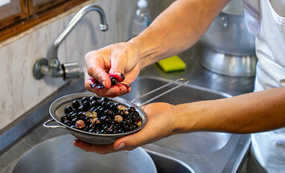 Portos do Paraná realiza oficina de coleta e despolpa do açaí juçara em comunidade no Litoral