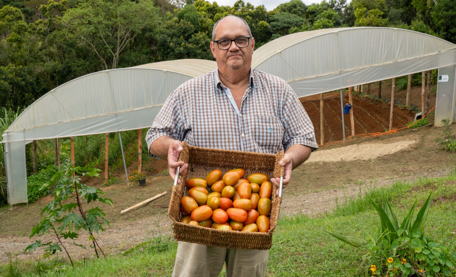 SEGURANÇA ALIMENTAR