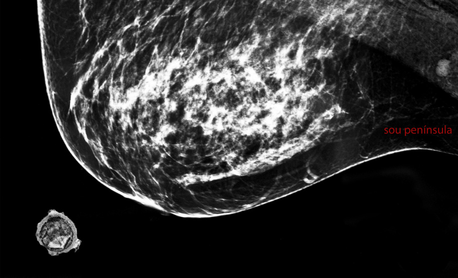 Exposição “Ciclo(s)” inaugura no MIS-PR com obras de Lu Berlese e Michelle Serena