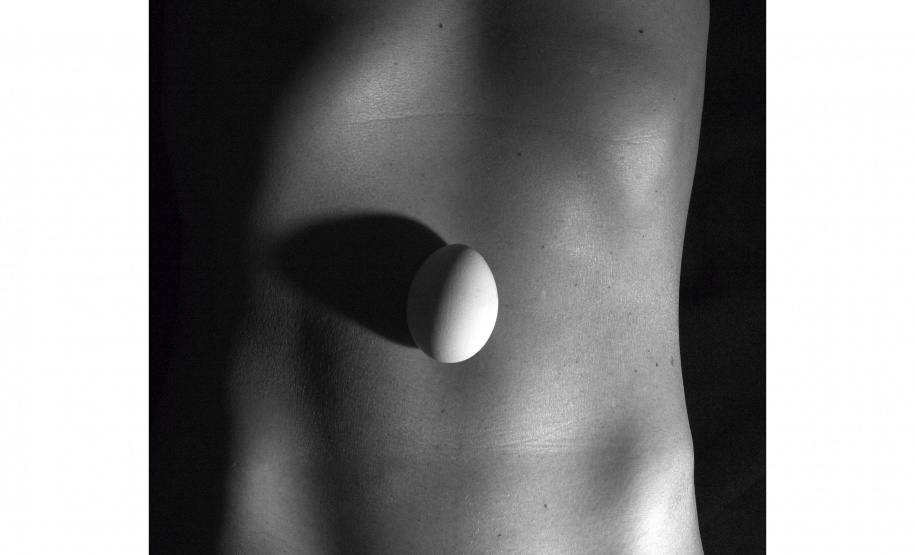 Exposição “Ciclo(s)” inaugura no MIS-PR com obras de Lu Berlese e Michelle Serena