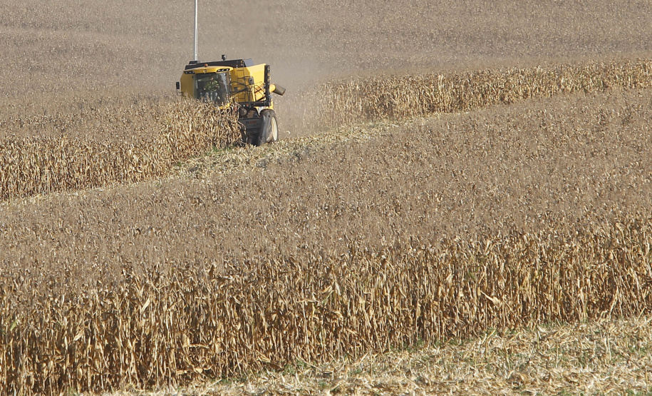 Colheitas de soja e milho alcançam 95% das áreas plantadas no Paraná