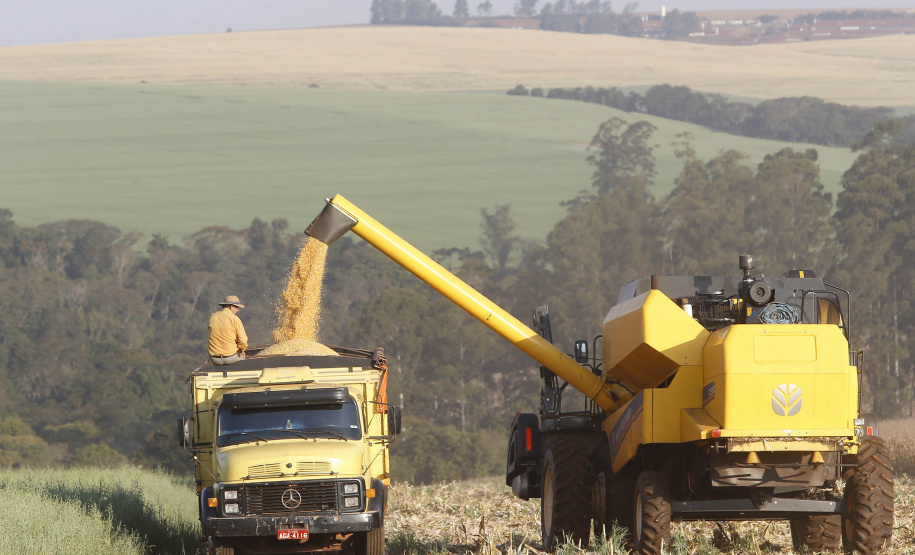 Colheitas de soja e milho alcançam 95% das áreas plantadas no Paraná