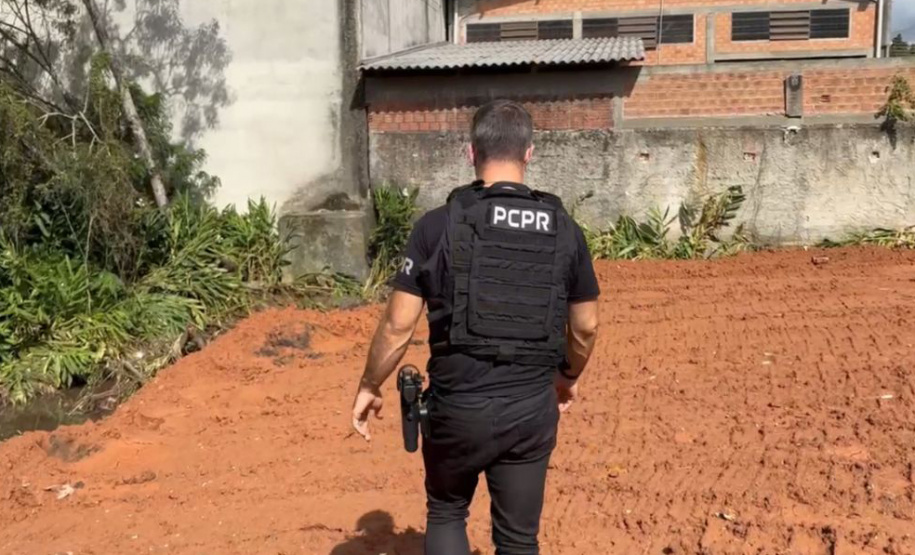 PCPR prende homem por desmatar área de proteção ambiental em Curitiba