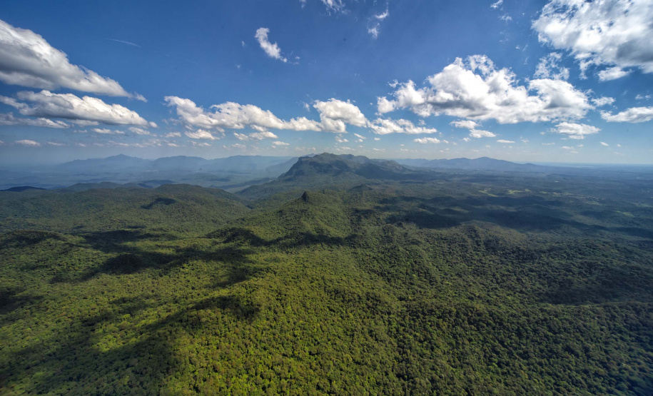 Unidades de Conservação do Paraná administrada pelo Instituto Água e Terra (IAT) receberão 4,72% mais visitantes no primeiro trimestre de 2025 em relação ao mesmo período do ano passado.