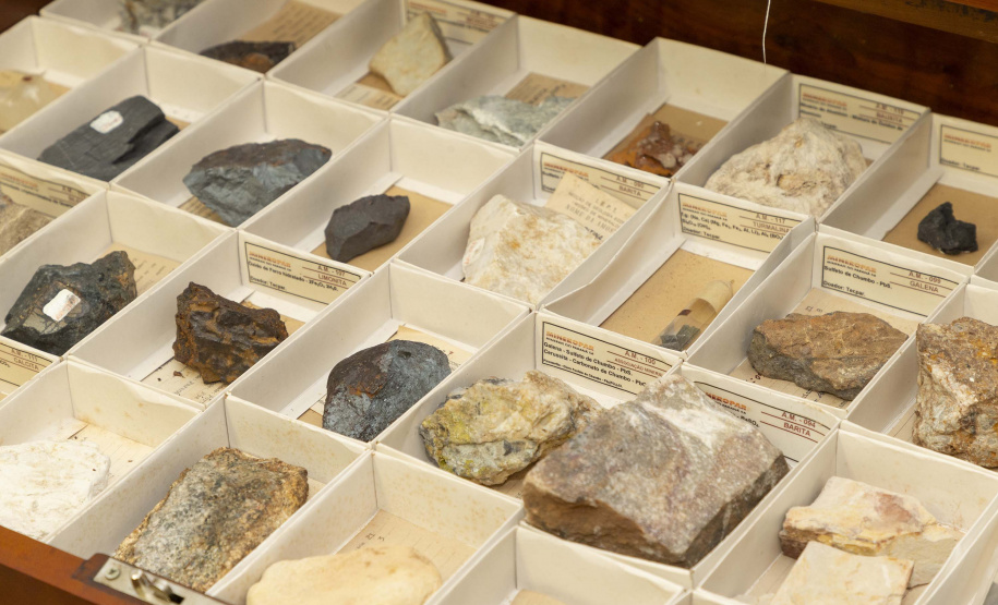 Hedeson Alves/TECPAR