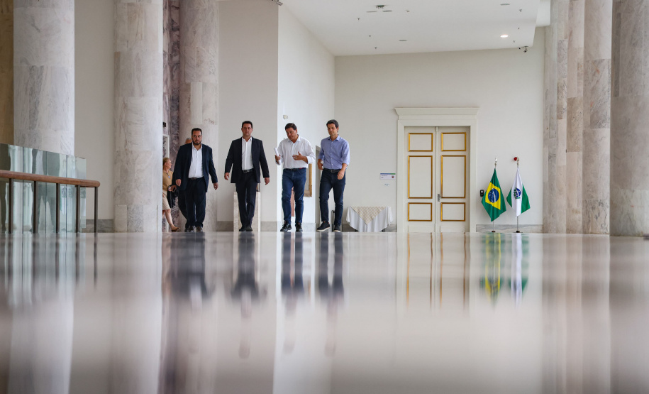 GOVERNADOR - LINHA VERDE