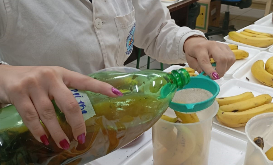 SEED ESTUDANTE PREMIADA MAIOR FEIRA DE CIÊNCIAS