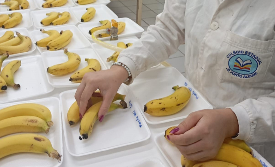 SEED ESTUDANTE PREMIADA MAIOR FEIRA DE CIÊNCIAS