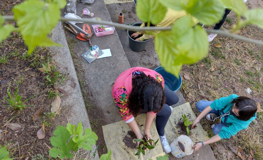 Clube de Ciências revitaliza espaços escolares e incentiva o empreendedorismo em Colombo