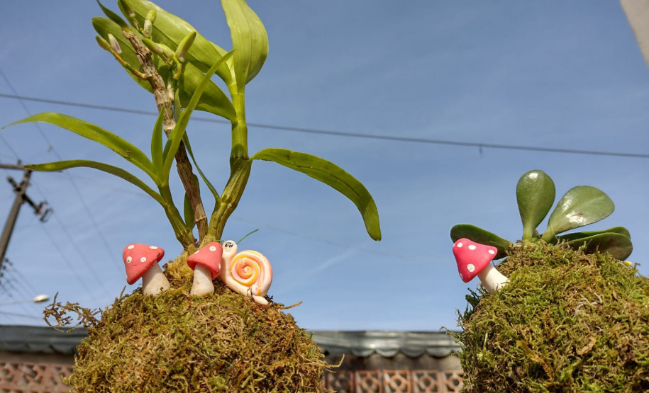 Clube de Ciências revitaliza espaços escolares e incentiva o empreendedorismo em Colombo