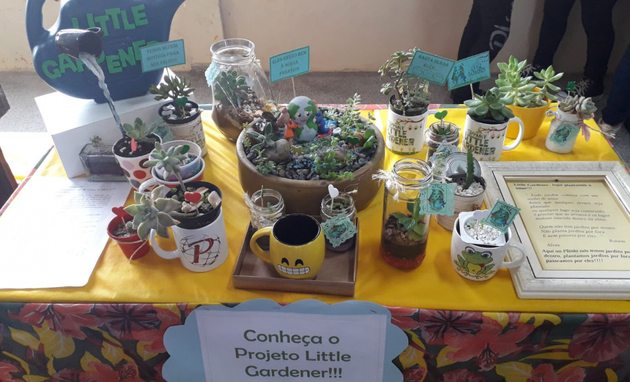 Clube de Ciências revitaliza espaços escolares e incentiva o empreendedorismo em Colombo