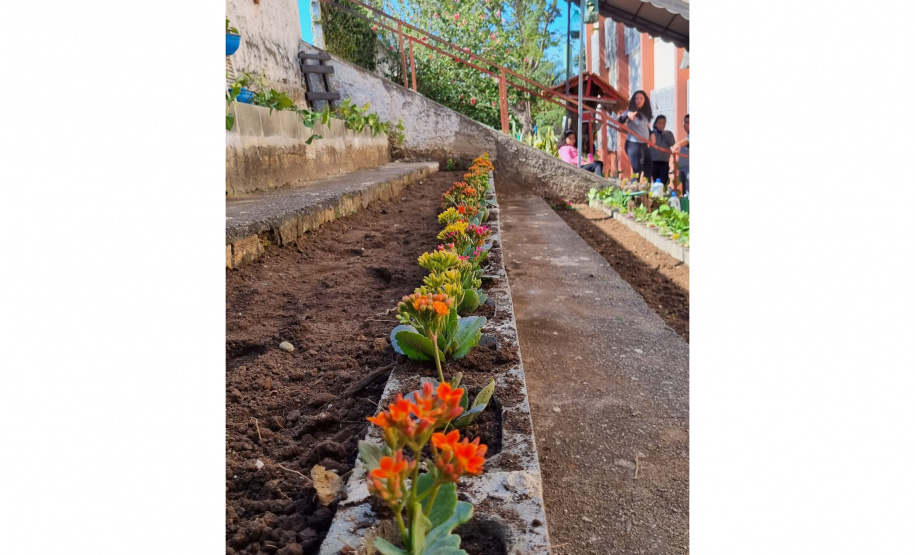Clube de Ciências revitaliza espaços escolares e incentiva o empreendedorismo em Colombo
