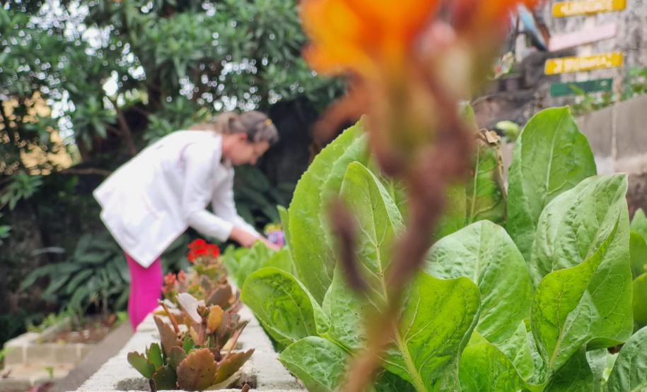Clube de Ciências revitaliza espaços escolares e incentiva o empreendedorismo em Colombo
