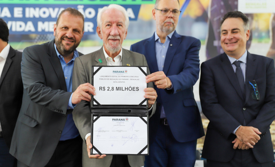 Governo do Paraná lança concurso de inovação para criação de bengalas inteligentes