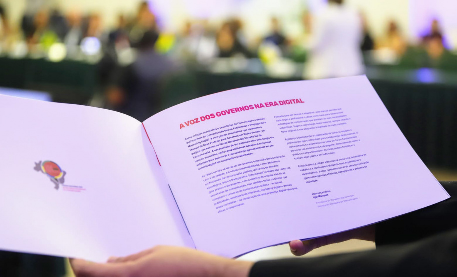 BOAS PRATICAS GOVERNO