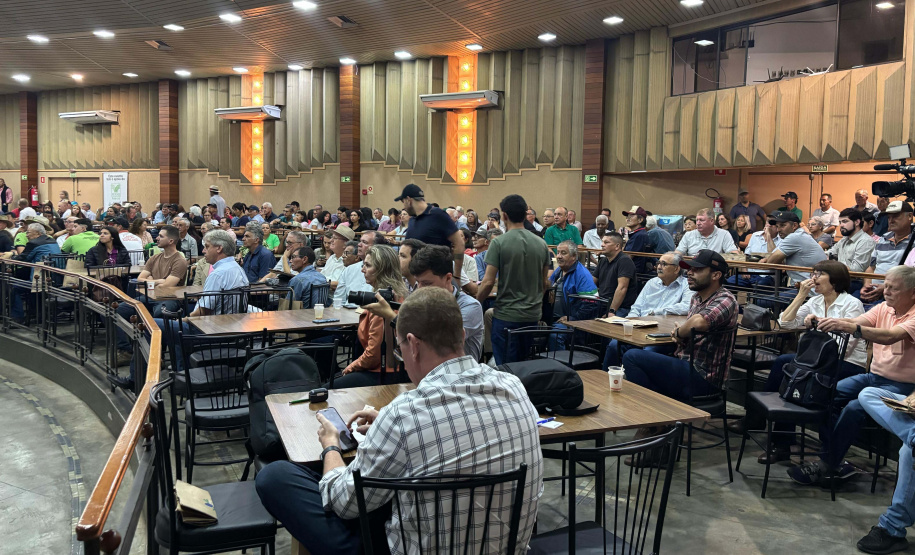 Alanis Moura Barbosa