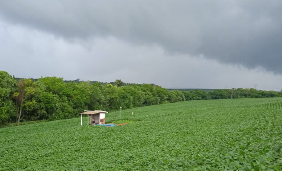 Livro traz pesquisas aplicadas à conservação do solo e da água em regiões produtivas
