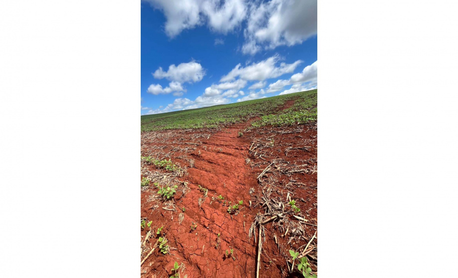 Livro traz pesquisas aplicadas à conservação do solo e da água em regiões produtivas