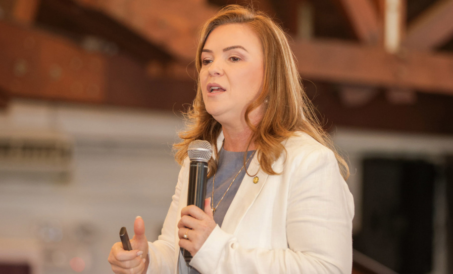 SEMIPI REUNIÃO INÉDITA CONSELHO NACIONAL DIREITOS DA PESSOA IDOSA