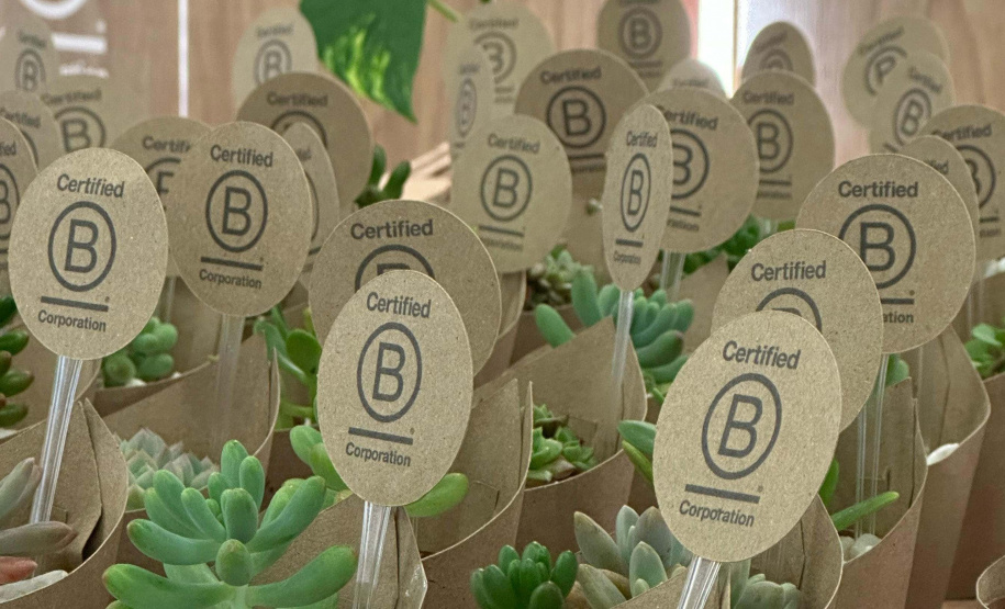 Empresa paranaense Nano4you recebeu certificado internacional de Empresa B, um dos mais importantes reconhecimentos do mundo na área de ESG