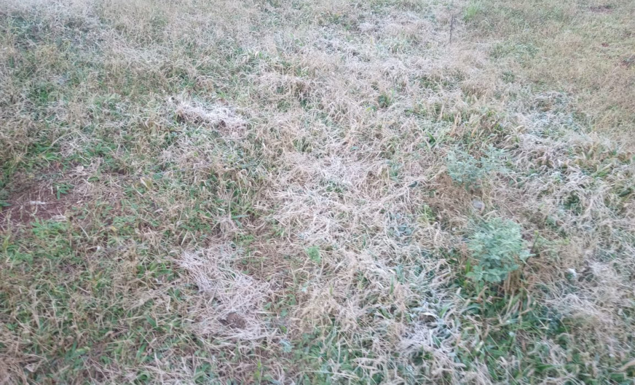 SIMEPAR CAPITAL E MAIS 37 CIDADES PARANAENSES TIVERAM A MENOR TEMPERATURA DO ANO NESTA TERÇA-FEIRA