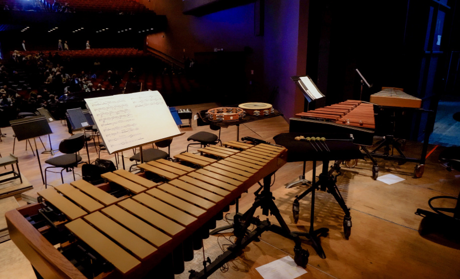 Famílias, movimentos, disposição no palco: confira como funciona uma orquestra sinfônica