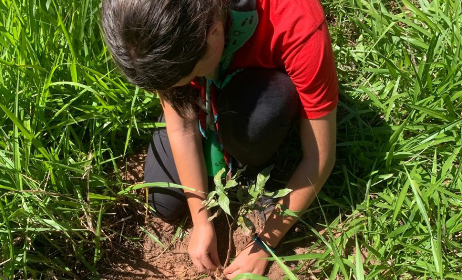 IAT SEMANA DO MEIO AMBIENTE