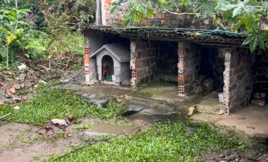 PCPR CANIL CLANDESTINO