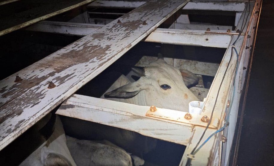 Operação conjunta da Receita Estadual e Adapar apreende R$ 2,6 milhões em mercadorias irregulares