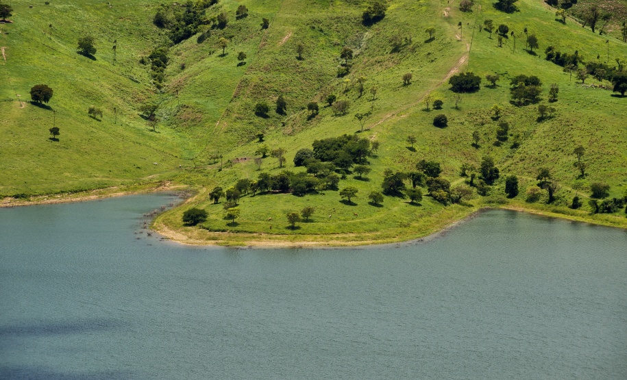 Ribeirão Claro, no Norte Pioneiro do Paraná: um dos 284 municípios do Estado sem alertas de desmatamento ilegal em 2024.