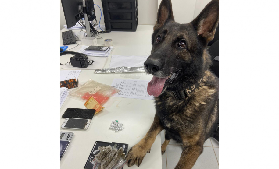 PCPR cumpre 14 ordens judiciais em operação contra o tráfico de drogas em Cascavel