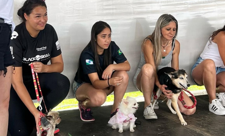 POLICIA PENAL - 2ª Cãominhada da Polícia Penal promove integração com a comunidade em São José dos Pinhais neste sábado