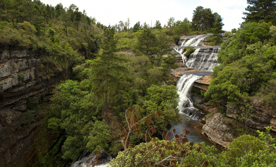 IAT - Queda no desmatamento Mata Atlântica