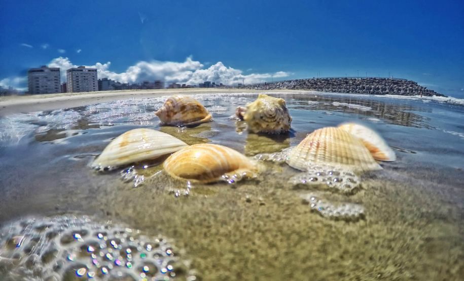 IAT SEMANA DO MEIO AMBIENTE