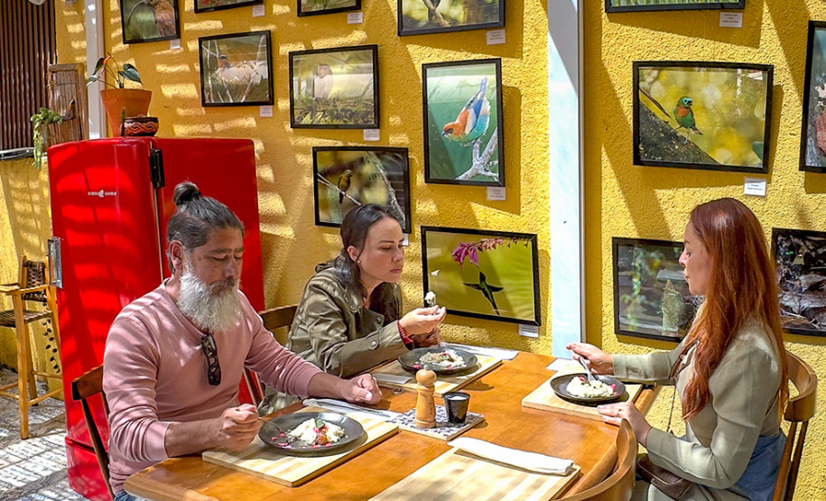 SETU - Astroturismo, natureza e aventura: Paraná tem seis experiências no Feel Brasil, da Embratur