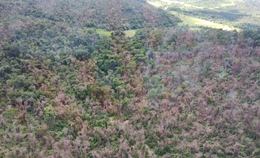 IAT identificou 478 hectares de área de vegetação danificada por fogo em quatro fazendas de Ribeirão Claro, no Norte Pioneiro