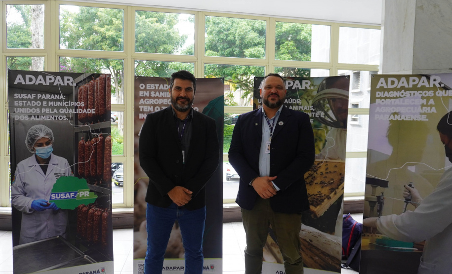 Adapar anuncia portaria inédita para regulamentar criação do Porco Moura no Paraná