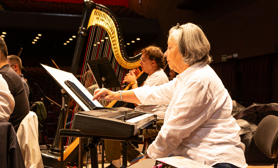 Famílias, movimentos, disposição no palco: confira como funciona uma orquestra sinfônica
