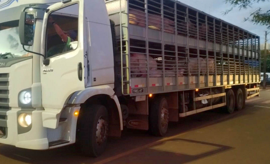 Operação conjunta da Receita Estadual e Adapar apreende R$ 2,6 milhões em mercadorias irregulares